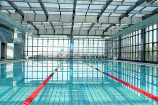 九游体育下载-世界游泳锦标赛中国运动员连续夺牌，世界游泳锦标赛中国运动员连续夺牌几次