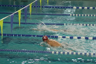 九游娱乐-世界游泳锦标赛连续夺金，实力证明中国，世界游泳锦标赛举办地